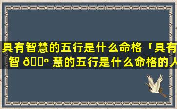 具有智慧的五行是什么命格「具有智 🌺 慧的五行是什么命格的人」